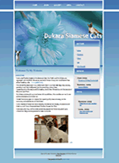 affordable website design